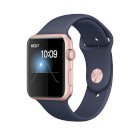 Apple Watch SE (1st Gen)